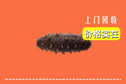 美姑县回收海参